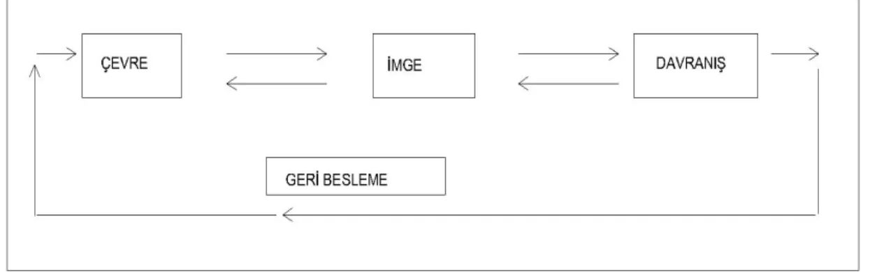 Şekil 2.2. Çevre-Davranış Etkileşimi  (Rapaport, 1969)