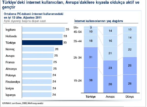 Şekil 2.15 25 : Türkiye’de internet kullanımının Avrupa’yla karşılaştırılması ve Türk kullanıcı profili 