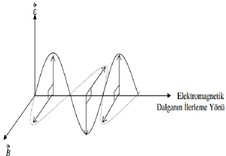 Şekil 2.1 Elektromanyetik dalga 
