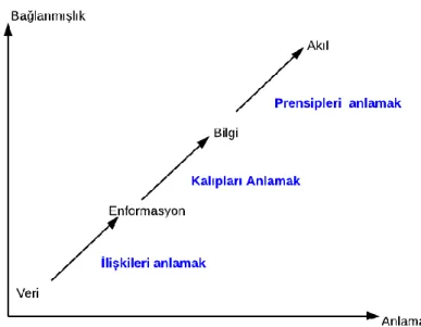 Şekil 11: Veriden Bilgiye Kavramsal Geçiş (Bellinger, Castro, &amp; Mills, 2004) 