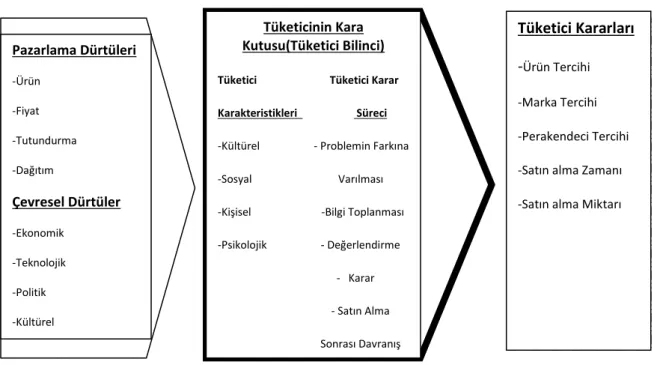 Şekil 1.1.: Tüketici Davranışının Modeli 