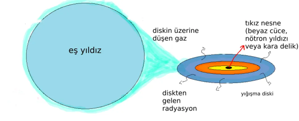 Şekil 1.1: Birincil yıldızın (nötron yıldızı) üstüne ikincil yıldızdan madde aktarımı ile disk oluşumu