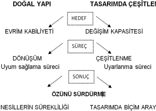 Tablo  2.11. Doğal yapı ve Tasarımda çeşitlenme hedef-süreç-sonuç ilişkileri  (Y.Baş, K.Batmaz s:222) 