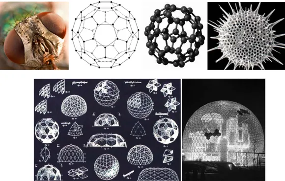 Şekil 3.14. Arı gözü, c60 molekülü, ışınlılar, jeodezik kubbe çalışma eskizi, Fuller’in  Expo67 jeodezik kubbesi (www.arastiralim.com/www.m-gen.biz) 