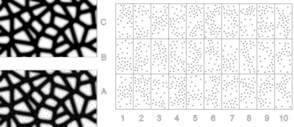 Şekil 3.24. P_Wall (2006) Özel rhinoscript(dijital programlama) kullanımı boyunca sınır  noktaları içinde malzemenin davranışına göre biçimin oluşumu ve dönüşümü 
