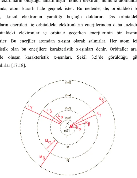Şekil 3.5 Karakteristik x-ışınları [18]. 