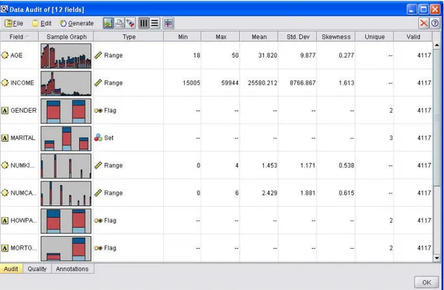 Şekil 2.14: Bir veri setinin veri kalitesinin Data Audit Node ile incelenmesi 