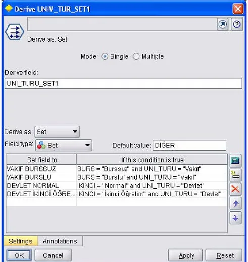 Şekil 3.17: Derive işlemcisi ile UNIV_TUR_SET1 alanının oluşturulması 