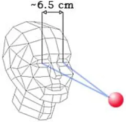 Figure  1.3: Approximate distance  between the eyes