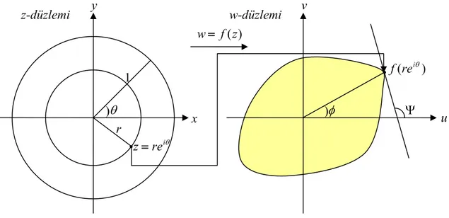 Şekil 9.1 z-düzlemi x y  u v θθirez=)(reiθfw-düzlemi )  r  1 )(zfw=φ)  Ψ