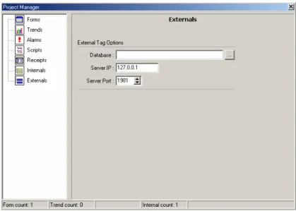 Şekil 3.12 External Tag Ayarları