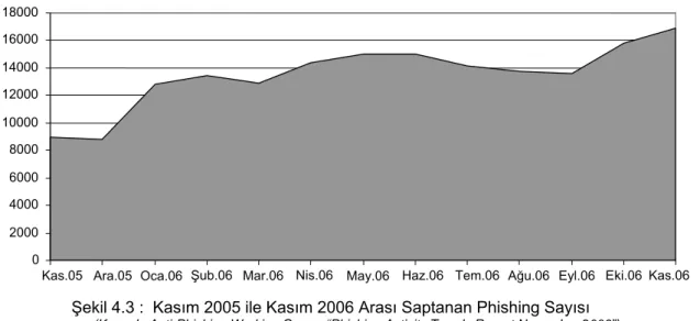 Şekil 4.3 :  Kasım 2005 ile Kasım 2006 Arası Saptanan Phishing Sayısı  