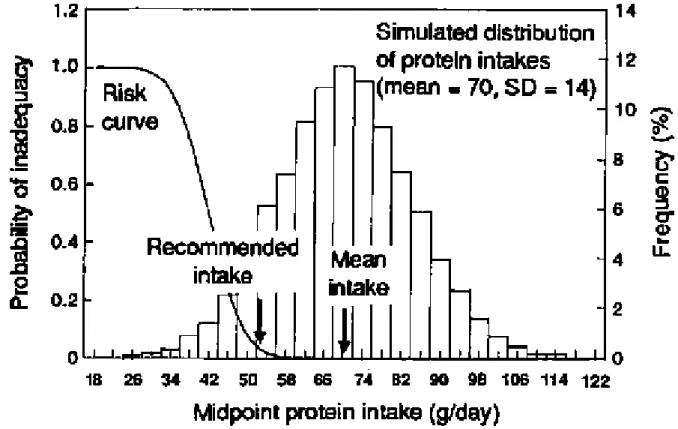 Figure 2.3 protein intake in adult men  