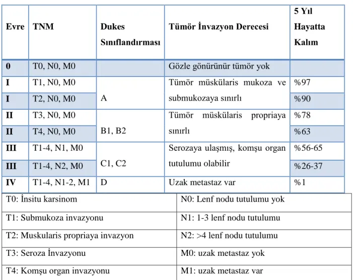 Tablo 2.1.Kolon kanserinde evreleme sistemi (54) 