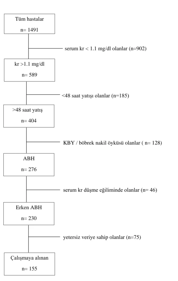 Şekil 1 – Çalışma grubu seçim şeması 