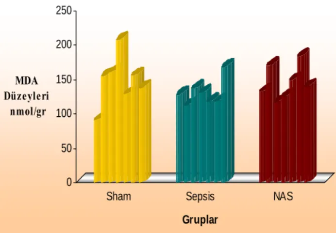 Grafik 6: Grupların  malondialdehid (MDA) düzeyleri 