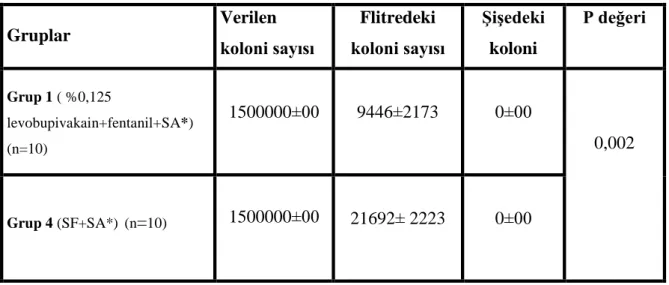 Tablo  6.  Grup  1  ile  Grup  4  deki  filtrelerden  ve  ĢiĢelerden  yapılan  bakteri  sayımları  (ortalama±sd) ve p değeri  Gruplar  Verilen  koloni sayısı  Flitredeki  koloni sayısı  ġiĢedeki koloni  sayısı  P değeri  Grup 1 ( %0,125  levobupivakain+fen