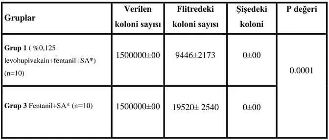Tablo  11.  Grup  1,  Grup  2  ile  Grup  3  deki  filtrelerden  ve  ĢiĢelerden  yapılan  bakteri  sayımları (ortalama±sd),  p değeri 