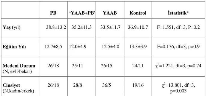 Tablo 12:  : Hasta Grupları ile Kontrol Grubunun Demografik Özellikleri