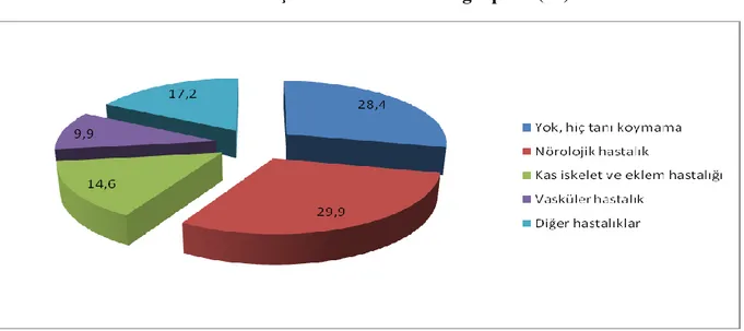 Grafik 2. Hekimlerin HBS tanısı için kullandıkları tanı grupları (%) 