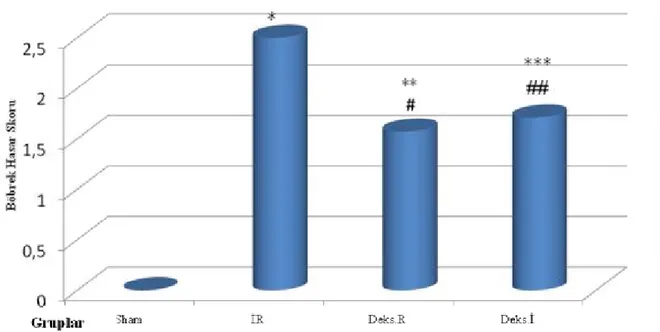 Grafik 1: Böbrek histomorfolojik incelemesinde proksimal tübüluslardaki hasar skorları