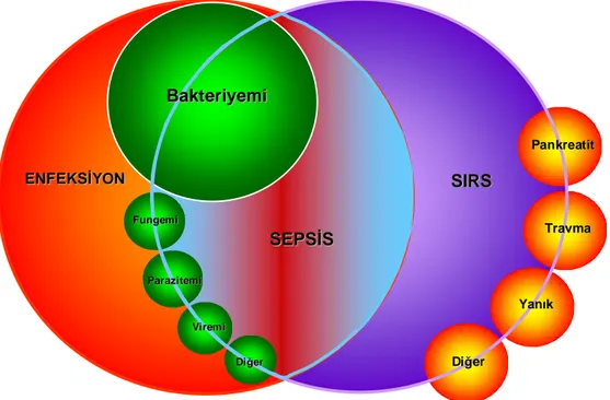 Şekil 1: SIRS, sepsis ve enfeksiyon arasındaki ilişki   (SIRS: Sistemik enflamatuvar yanıt sendromu) (1) 
