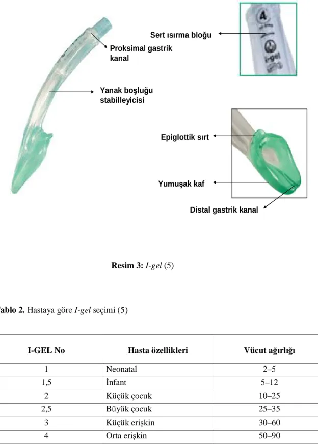 Tablo 2. Hastaya göre I-gel seçimi (5) 