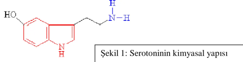 Şekil 1: Serotoninin kimyasal yapısı 