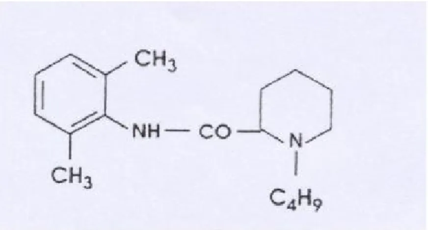 Şekil 3: R,S – (±) - Bupivakain  