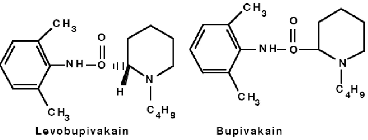 Şekil 2. Levobupivakain ve Bupivakainin açık formülleri  27,47