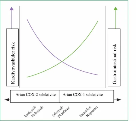Şekil 3:COX-1, COX-2 Selektivitesi ile Kardiyovasküler ve Gastrointestinal Risk Arasındaki  İlişki [40] 