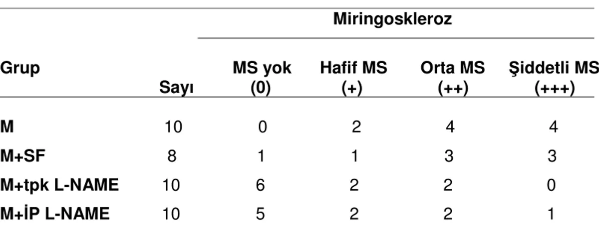 Tablo 1. Otomikroskopik değerlendirmeye göre miringoskleroz bulguları                                                                         Miringoskleroz 