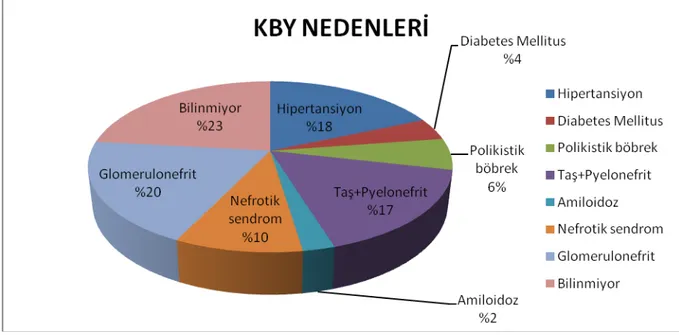 Şekil 3: 24 saatlik idrarda 300mg’dan az proteinürisi olan grupta KBY nedenleri 