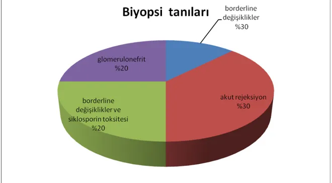 Şekil 5: Proteinüri düzeyi 1000 mg/gün’den fazla olan grupta proteinüri  