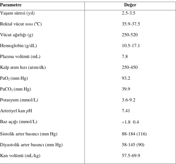 Tablo 3. Sıçanların temel biyolojik parametreleri 