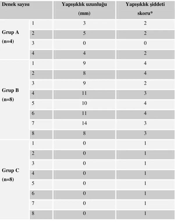 Tablo  2:  Grup  A,B  ve  C’deki  yapışıklık  uzunluklarının  ve  yapışıklık  şiddeti  skorunun 