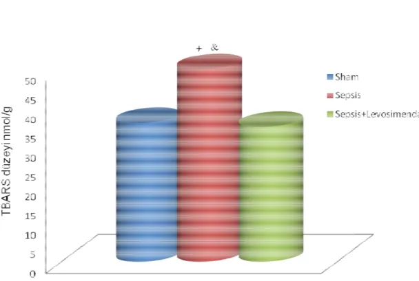 Grafik  2: Gruplara göre TBARS düzeyi 