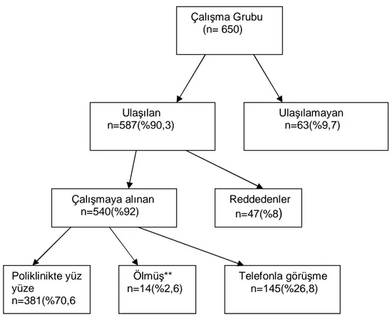 Şekil 2: Hastaların dağılımı ve görüşme şekli 