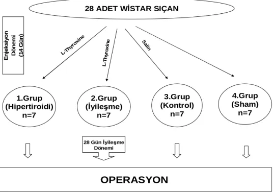 Şekil 5 Çalışma akış şeması 