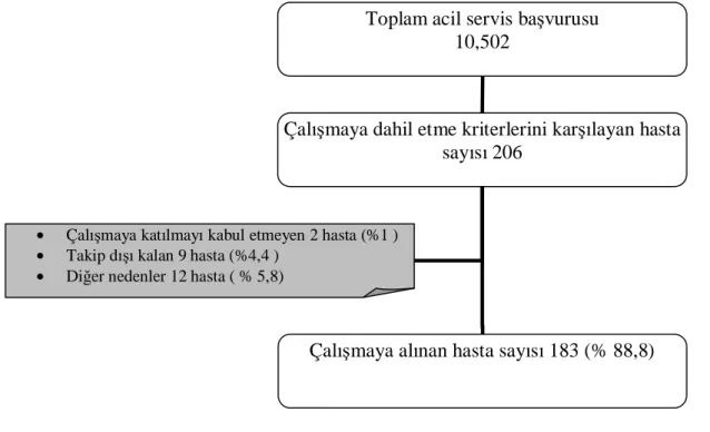 Tablo 4. Çalışmanın popülasyonu 
