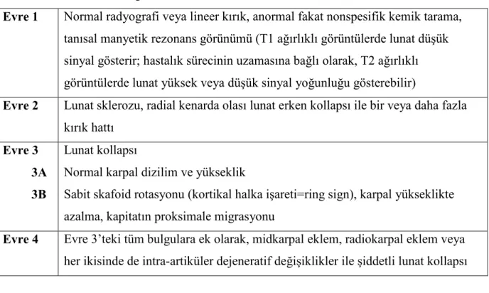 Tablo 1. Kienböck hastal + nda Lichtman s n flamas