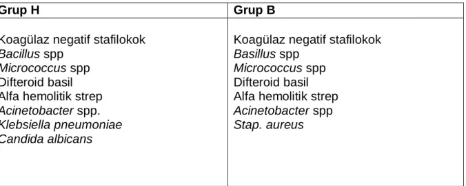 Tablo 7. Grup H ve Grup B’de üreyen mikroorganizmalar  
