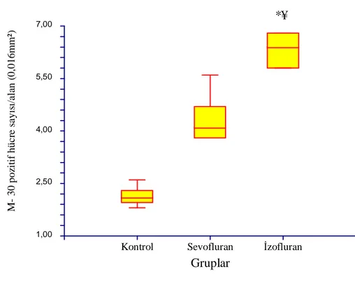 Grafik 4: Grupların M-30 pozitif hücre sayısı/0.016 mm 2  alan  # p:0.002; Kontrol Grubu ile karşılaştırıldığında 