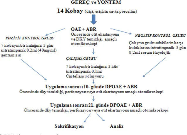 Şekil 1: Gereç ve yöntem akış şeması 