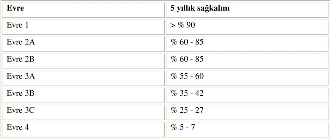 Tablo 2: Evrelere göre sağkalım oranları 