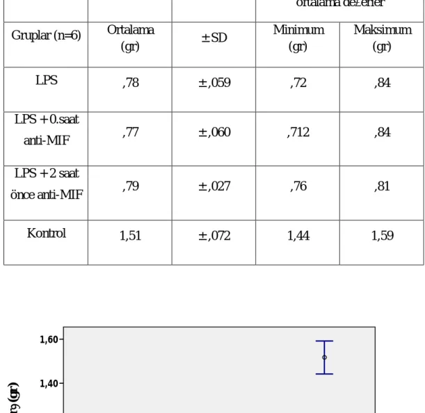 Tablo 4.2: Tüm gruplarda yavru ağırlıkları 