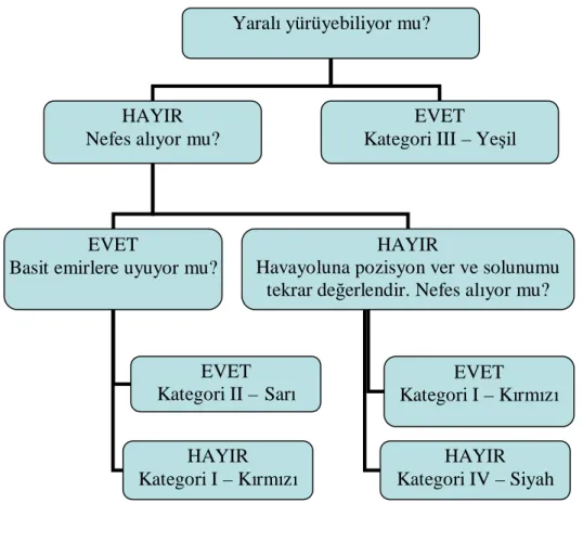Şekil 1. Afet triyajı akış şeması. 