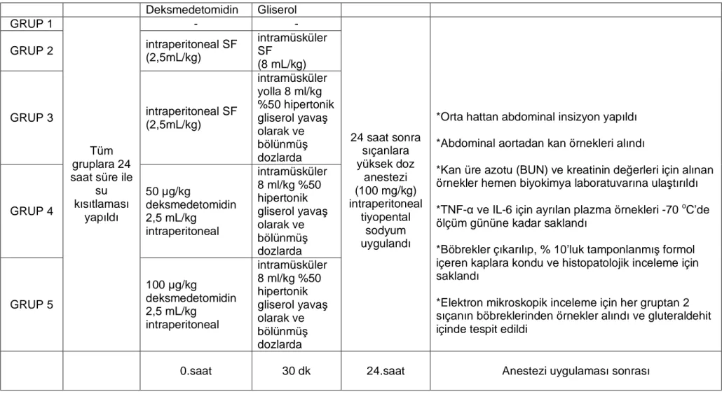 Tablo 6. Deney Protokolü  Deksmedetomidin  Gliserol  GRUP 1  -  -  GRUP 2  intraperitoneal SF  (2,5mL/kg)  intramüsküler SF  (8 mL/kg)    GRUP 3  intraperitoneal SF  (2,5mL/kg)  intramüsküler yolla 8 ml/kg  %50 hipertonik  gliserol yavaş  olarak ve  bölünm