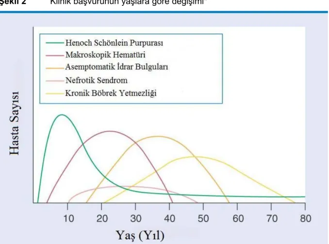 Şekil 2  Klinik başvurunun yaşlara göre değişimi* 