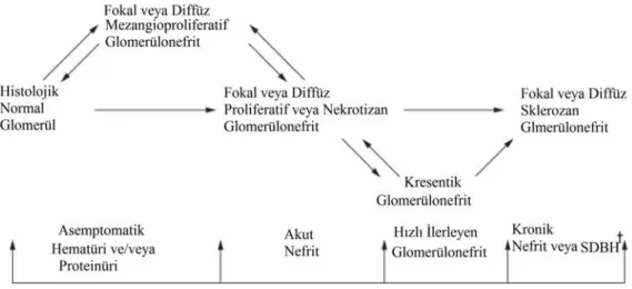 Şekil 6  Klinik ve histopatolojik bulguların çeşitliliği* 